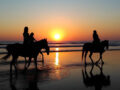 Andare a cavallo sulla spiaggia: come, dove, quando