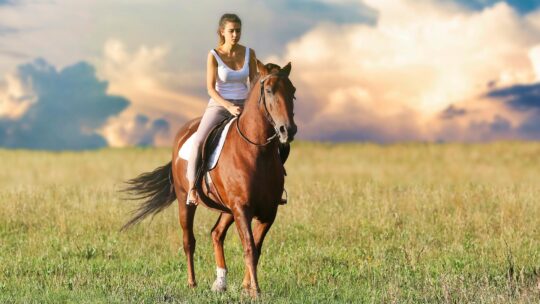 I benefici delle passeggiate a cavallo